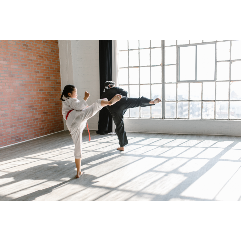 Karate Home