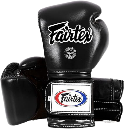 Fairtex BGVG2 Boxing gloves in Black