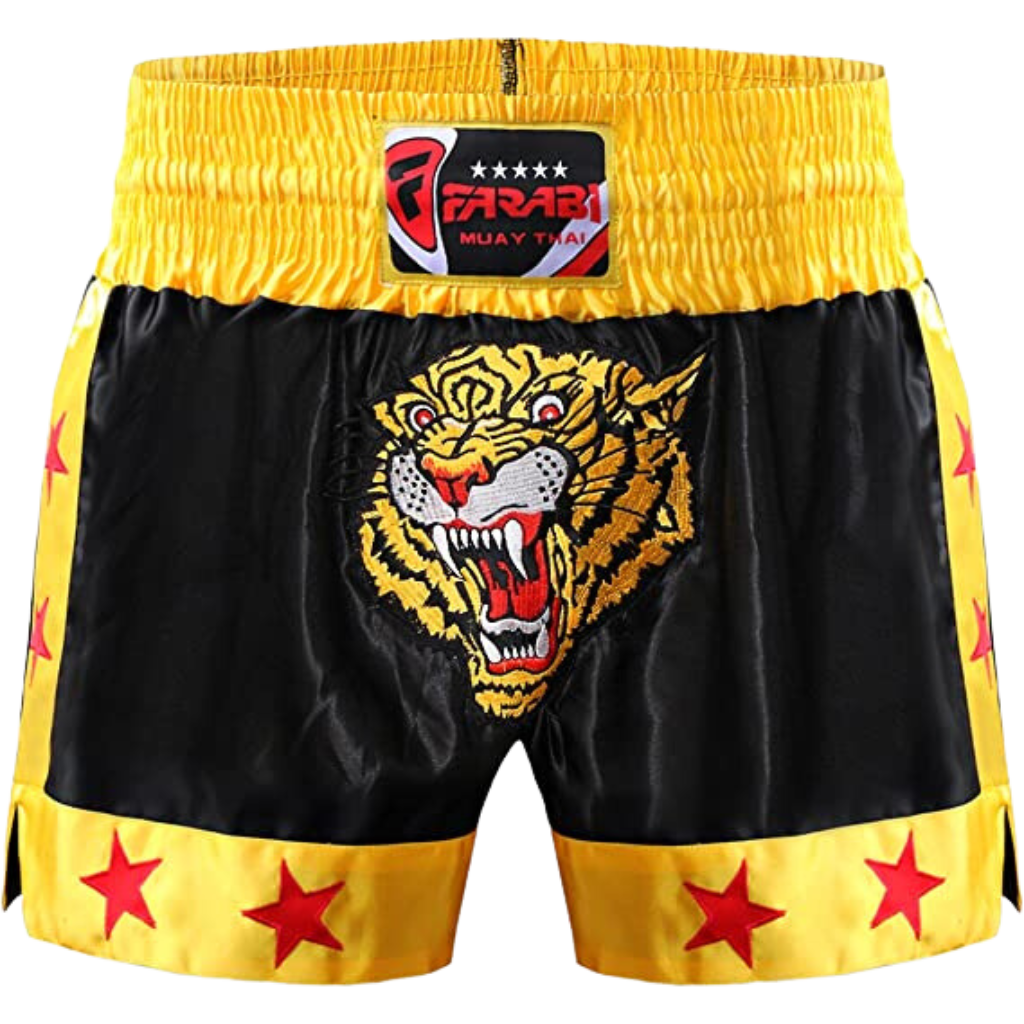 Farabi Sports Muay Thai Short Kickboxing Training Martial Arts Trunk Feature Image