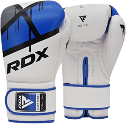 RDX EGO Boxing Gloves